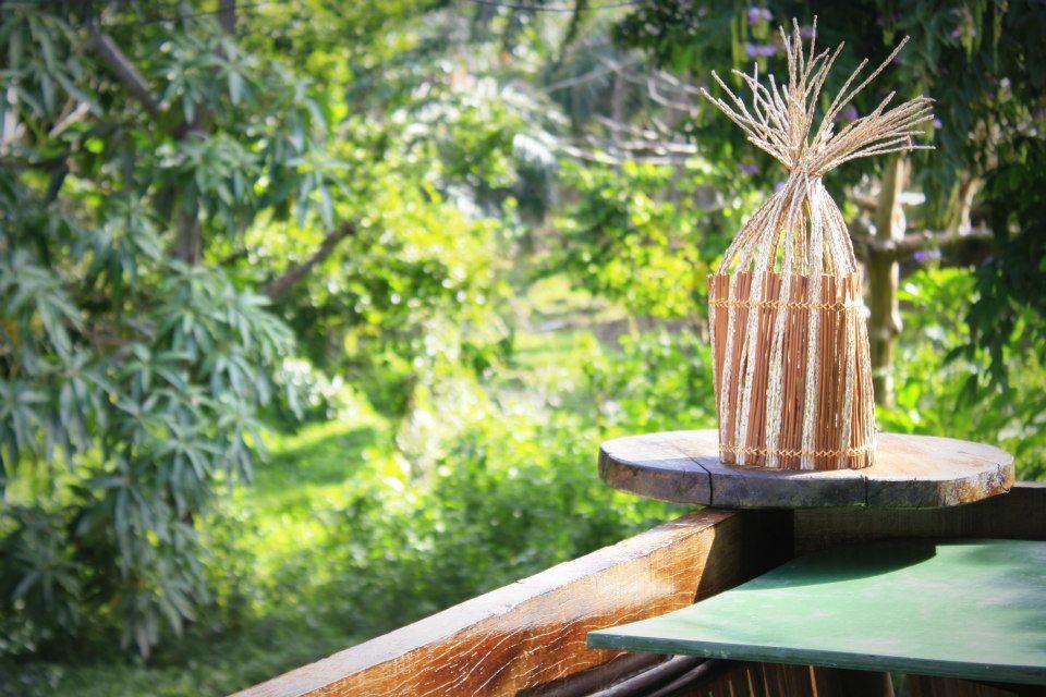 A Bananeira Azul Hostel อิตากาเร ภายนอก รูปภาพ