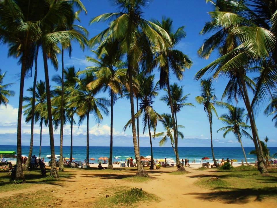A Bananeira Azul Hostel อิตากาเร ภายนอก รูปภาพ