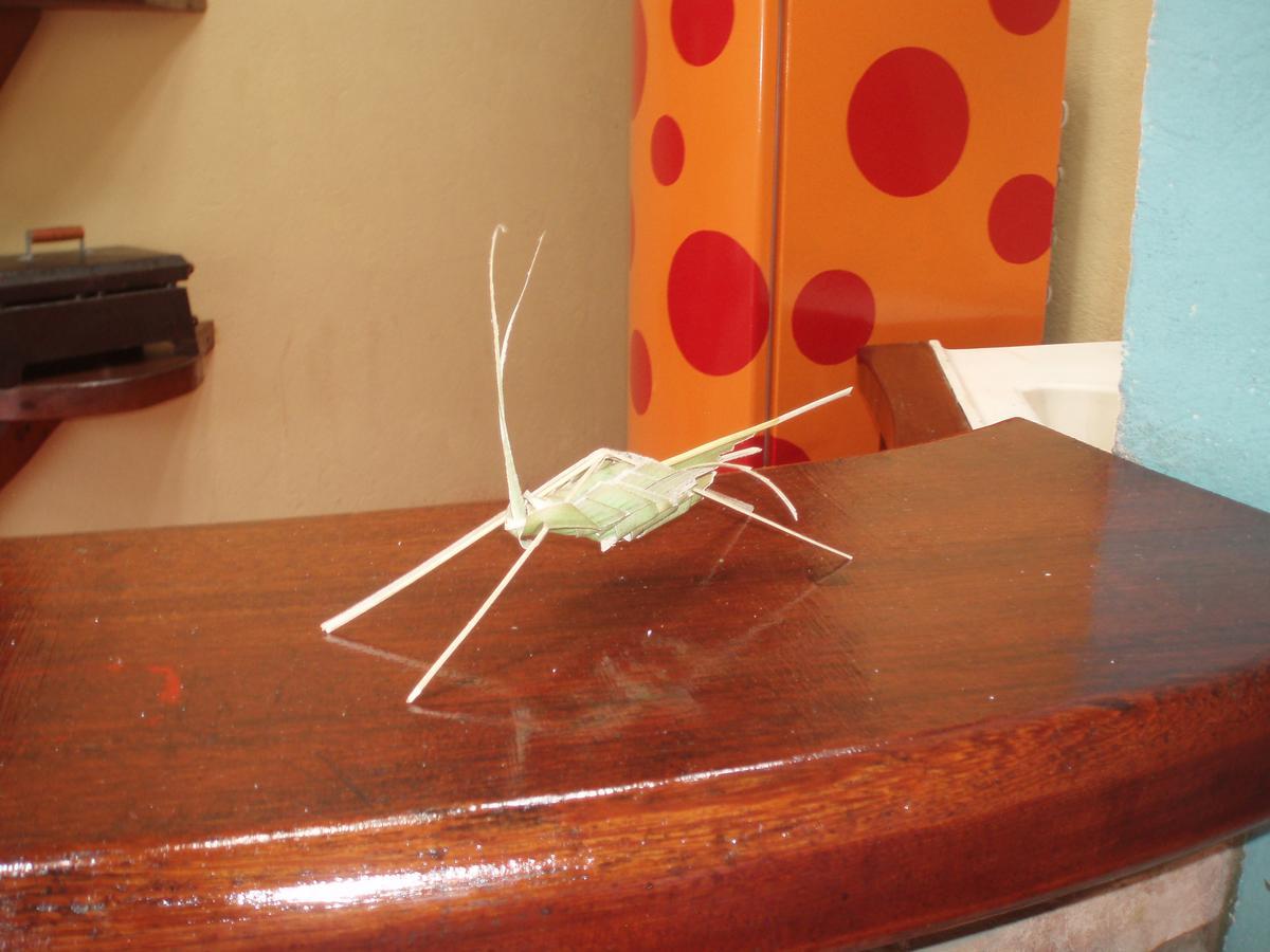 A Bananeira Azul Hostel อิตากาเร ภายนอก รูปภาพ